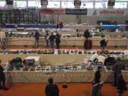 43471353_1885164504894429_2496080163159146496_o